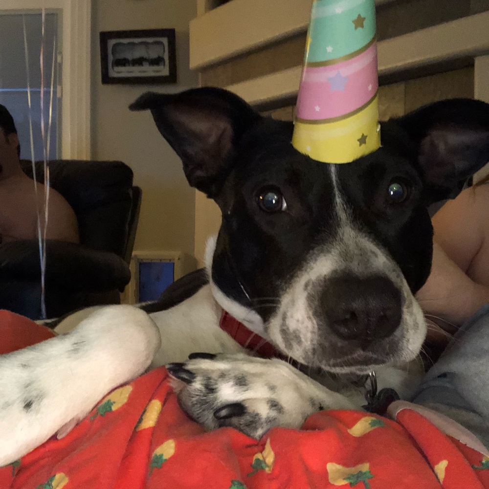 Meet your Posher, Roxanne